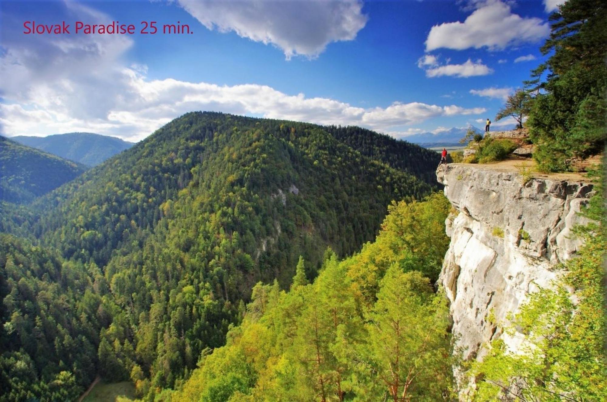 Tatrystay Cactus Premium Villa High Tatras Private Wellness Stará Lesná 外观 照片